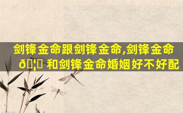 剑锋金命跟剑锋金命,剑锋金命 🦟 和剑锋金命婚姻好不好配
